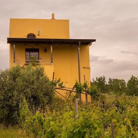 Boscotrecase Vesuvio Inn Guest House E Wine Experience מראה חיצוני תמונה