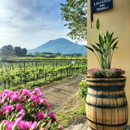 Boscotrecase Vesuvio Inn Guest House E Wine Experience מראה חיצוני תמונה