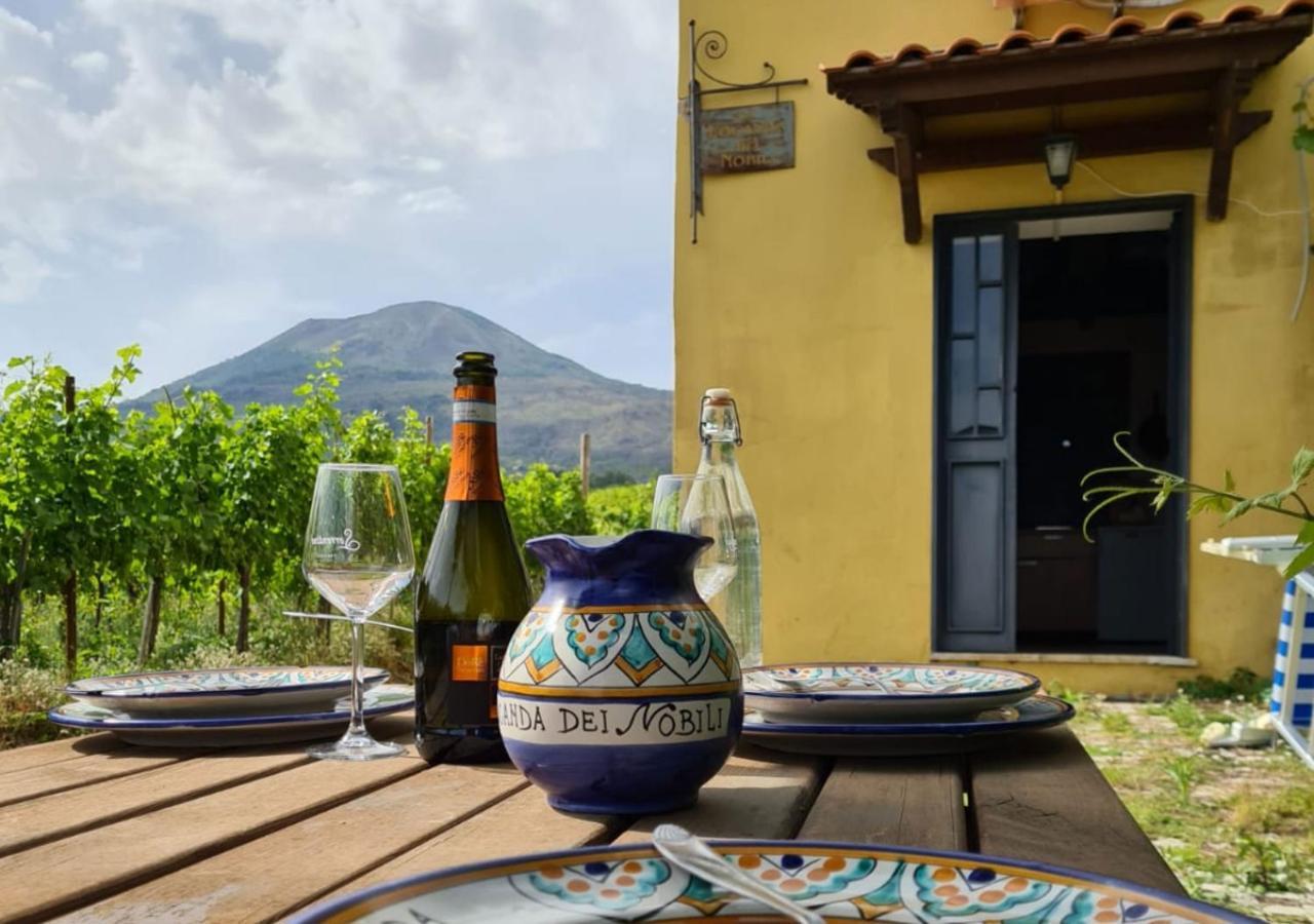 Boscotrecase Vesuvio Inn Guest House E Wine Experience מראה חיצוני תמונה