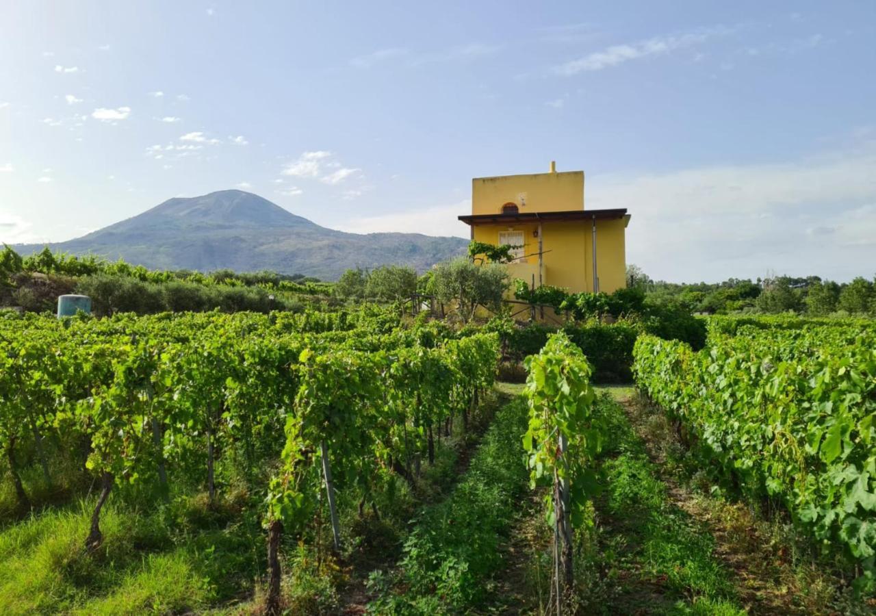 Boscotrecase Vesuvio Inn Guest House E Wine Experience מראה חיצוני תמונה