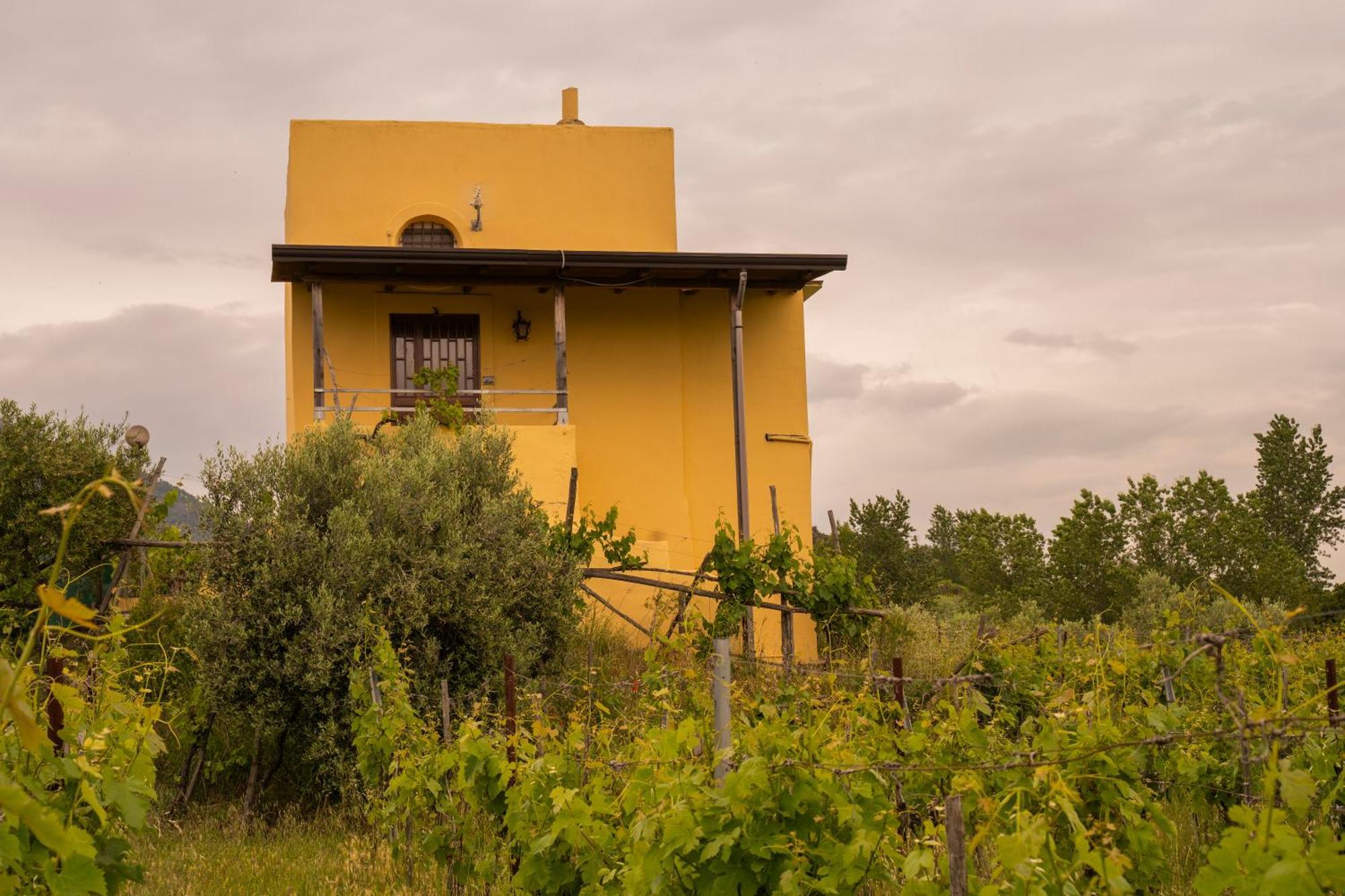 Boscotrecase Vesuvio Inn Guest House E Wine Experience מראה חיצוני תמונה