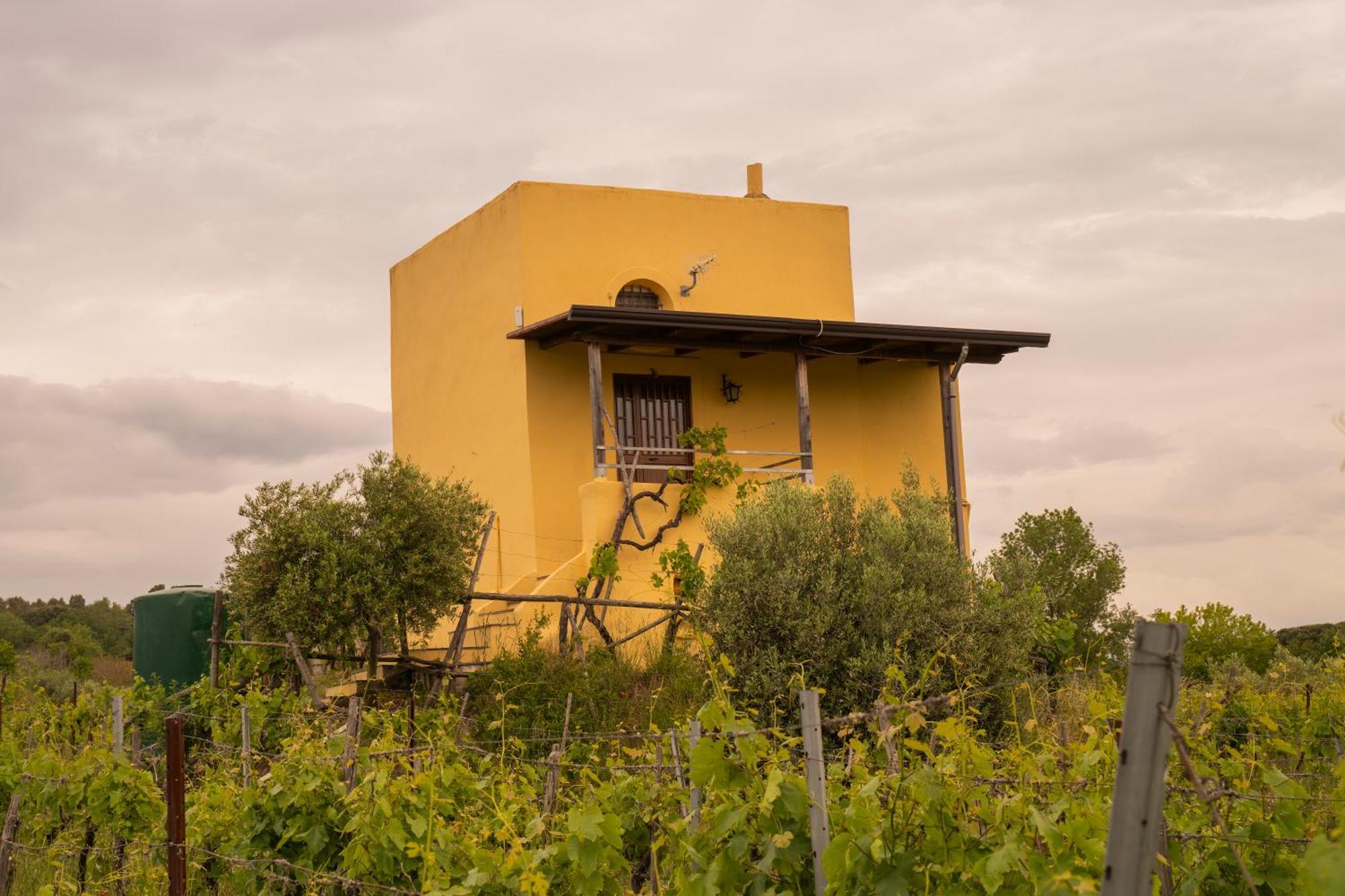 Boscotrecase Vesuvio Inn Guest House E Wine Experience מראה חיצוני תמונה