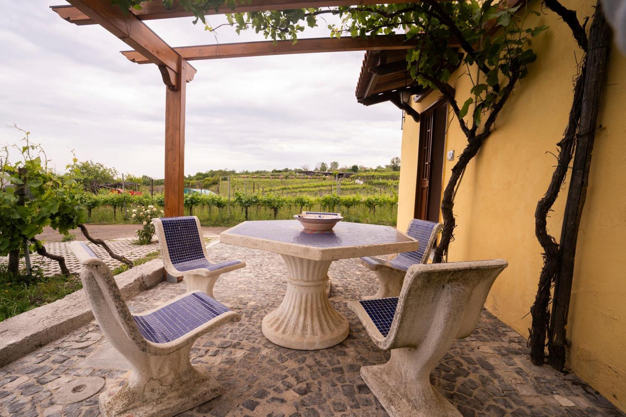 Boscotrecase Vesuvio Inn Guest House E Wine Experience מראה חיצוני תמונה
