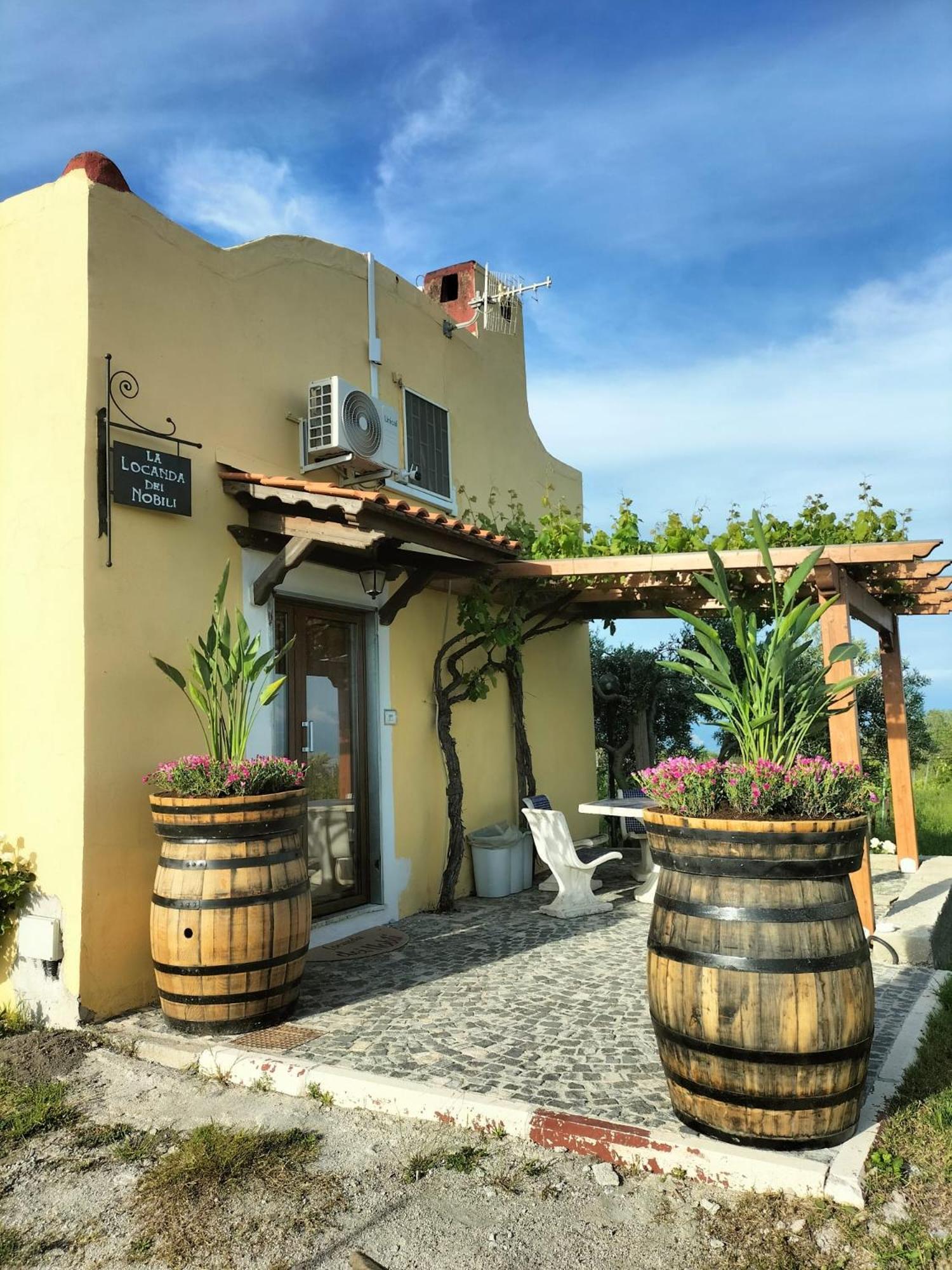 Boscotrecase Vesuvio Inn Guest House E Wine Experience מראה חיצוני תמונה
