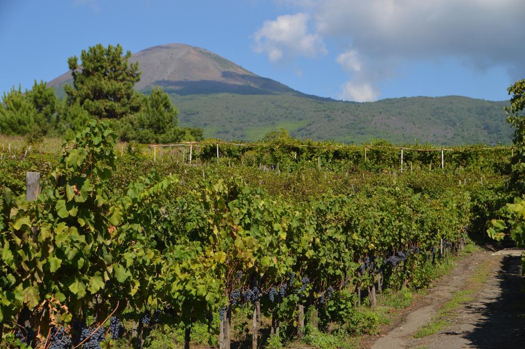 Boscotrecase Vesuvio Inn Guest House E Wine Experience מראה חיצוני תמונה