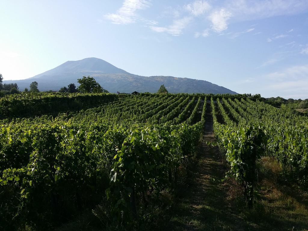 Boscotrecase Vesuvio Inn Guest House E Wine Experience מראה חיצוני תמונה