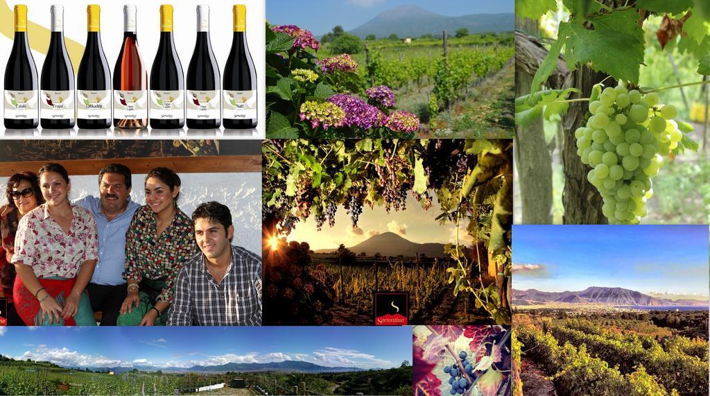 Boscotrecase Vesuvio Inn Guest House E Wine Experience מראה חיצוני תמונה
