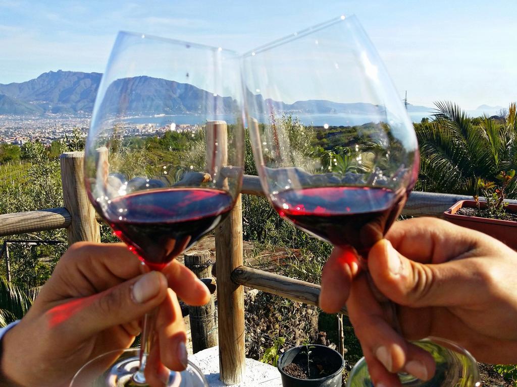 Boscotrecase Vesuvio Inn Guest House E Wine Experience מראה חיצוני תמונה